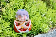 摄影师：我
模特：霸王花弟弟