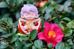 摄影师：我
模特：霸王花弟弟