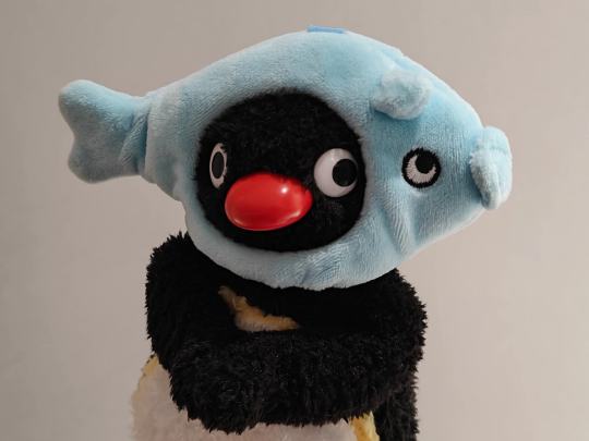 pingu