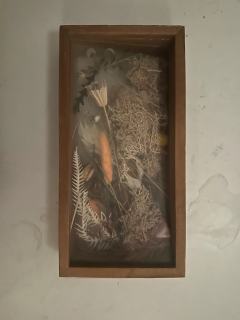 细数青白七宗罪，开年最大的过誉本。

📖个人评分：C+
�