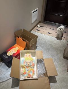 收到之前祈愿想要一个淡颜 到了后是个浓颜 不过颜值还是很高的