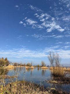 天初暖，日初长，好时光😊
这个春节我带着娃娃来到大理洱海，