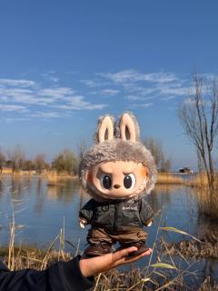 天初暖，日初长，好时光😊
这个春节我带着娃娃来到大理洱海，