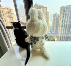 和朋友在门店一人买了一只，太美啦！猜猜我的是哪个美妞布？😋