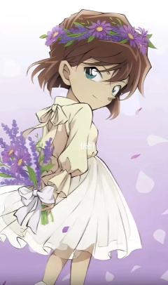 兰哀不要吵了,他们都是可爱的小宝宝！
新兰99好吧，哀酱独美