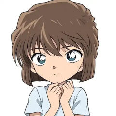 兰哀不要吵了,他们都是可爱的小宝宝！
新兰99好吧，哀酱独美