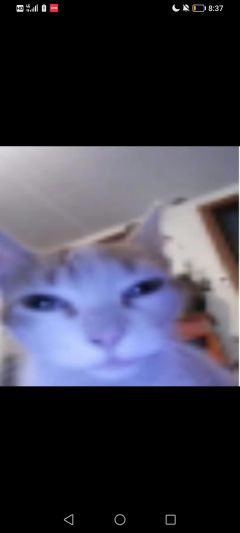 牛逼克拉斯这些都是我的镇店之宝）