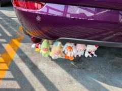 拒绝黄🐮……抵制黄🐮……不做黄🐮