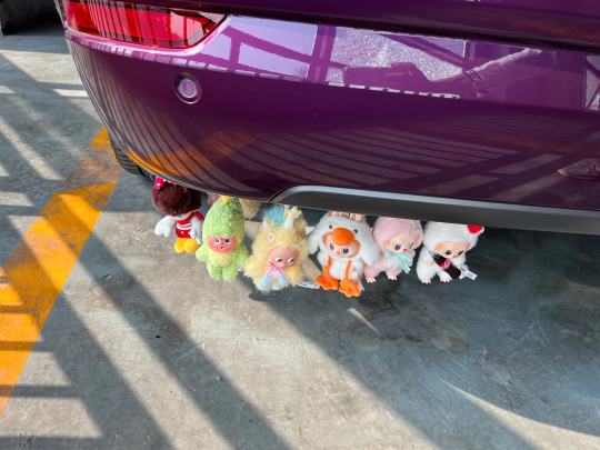 拒绝黄🐮……抵制黄🐮……不做黄🐮