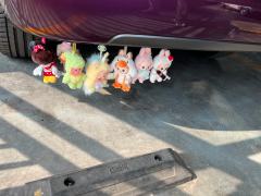 拒绝黄🐮……抵制黄🐮……不做黄🐮