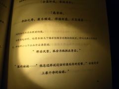 “那些风雪，孤会为她挡在身后，吾妹合该干干净净的才好”
体验