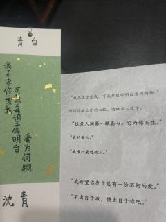 一场红温时抗拒又想逃，冷静时认可并接受的游戏。
毕竟，我罪有