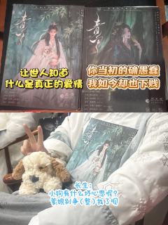 一场红温时抗拒又想逃，冷静时认可并接受的游戏。
毕竟，我罪有