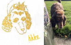 🥺🫶家里的毛孩子都可以

风格可以自选，指定风格或者可以