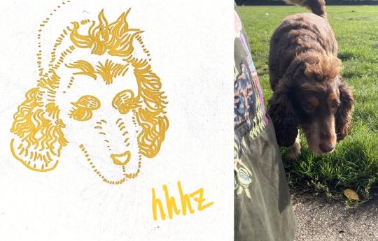 🥺🫶家里的毛孩子都可以风格可以自选，指定风格或者可以发图然后我自己随机用材料画（盲盒）