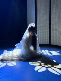 壁上观,我与那女子情非泛泛,却不得善终。无人走出孙悟空。