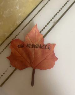 “我们会幸福的对吗？”
“会的，一定会的。”

《请君入瓮》