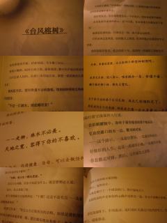 “要是有什么不顺的地方,把本换过来也行”
“不用,我为此而来