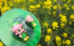 我超爱香港展的Molly绿碟
年前到手的～299我真的觉得千