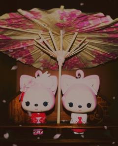 和狸🦊 在一起的时光～我们看花🌸 ，看海🏝 ，看许多的