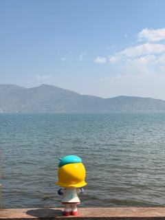 🥳想要的,今天得到了!
🎨Molly小画家在洱海勾勒出大