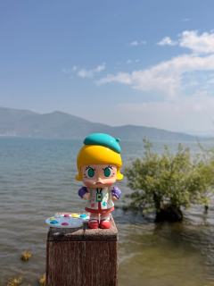 🥳想要的,今天得到了!
🎨Molly小画家在洱海勾勒出大