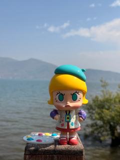 🥳想要的,今天得到了!
🎨Molly小画家在洱海勾勒出大