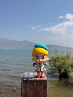 🥳想要的,今天得到了!
🎨Molly小画家在洱海勾勒出大