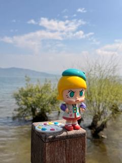 🥳想要的,今天得到了!
🎨Molly小画家在洱海勾勒出大