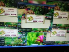 多年前猪屁股回忆