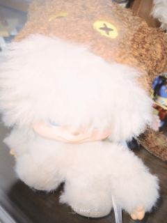 赵露思何老师同款CLUBIE！