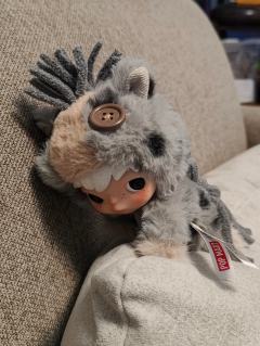 太可爱了黑芝马，自己钩了围巾小鞋可爱，买的便宜套装也很酷啊，