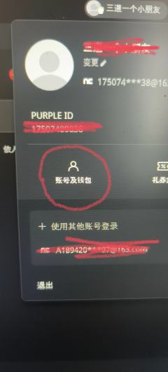 点击紫P右上的头像，进入账户与钱包。下拉，语言更改成中文繁体