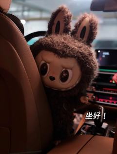 原来首选是开车🚗出逃
labubu  先被“教育”👉🏻