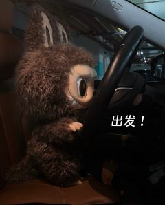 原来首选是开车🚗出逃
labubu  先被“教育”👉🏻