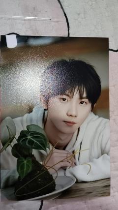 谁能告诉我这两张是真的假的？