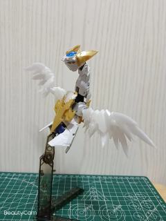 型号:Royroy
所属阵型:马克西翁
代号:白鸟座支援机