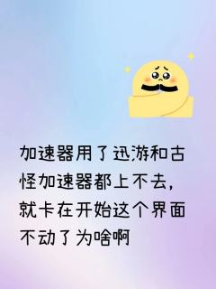 加速器用了迅游和古怪加速器都上不去，就卡在开始这个界面不动了