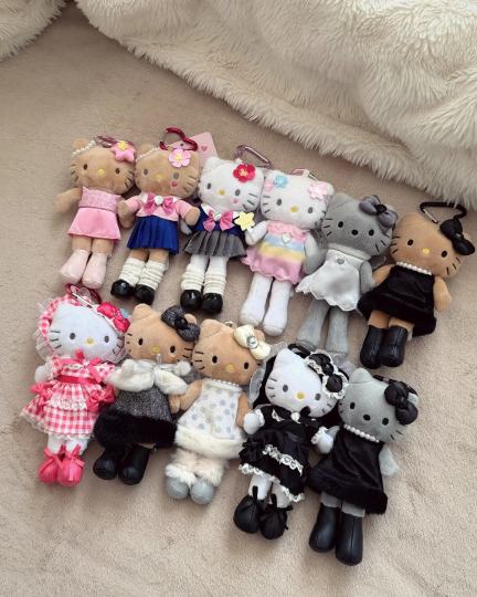 长腿Kitty来啦～