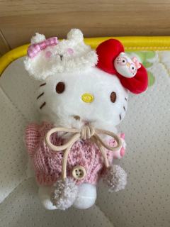 有和我一样的吗？
