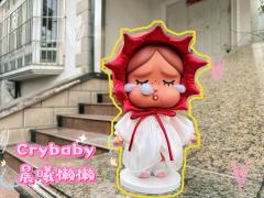 12月才入坑的哭娃，第一只Mega献给了哭娃，简直太可爱了，