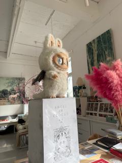 这会疯了真是，买这个大东西，往哪儿放呢…