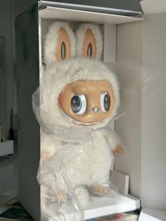 这会疯了真是，买这个大东西，往哪儿放呢…