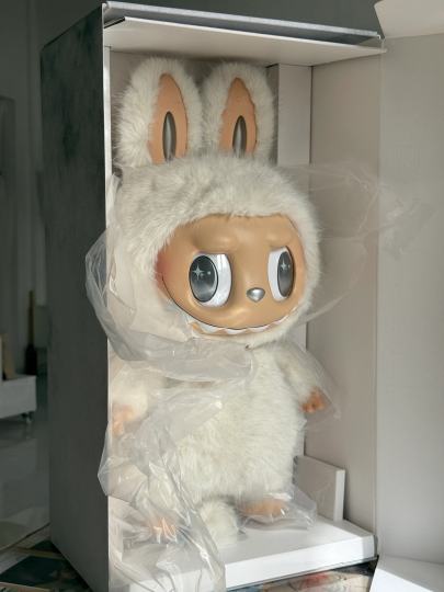 这会疯了真是，买这个大东西，往哪儿放呢…