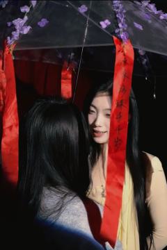 塑料温室
“那就让温室燃烧吧,只有灰烬能长出我们的春天。”