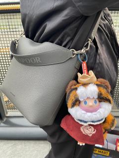 这只官宣觉得丑越看越有爱的小老虎🐯