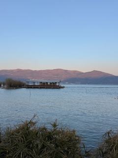 这个新年，我带着小野来到了大理洱海，一起度过了安静的春节。不