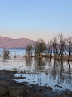 这个新年，我带着小野来到了大理洱海，一起度过了安静的春节。不