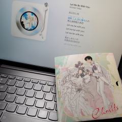 是前阵子做的人形电脑天使心纸夹cd，超可爱的小叽