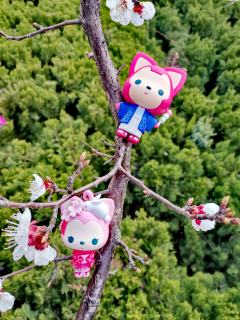 和狸🦊 在一起的时光～我们看花🌸 ，看海🏝 ，看许多的